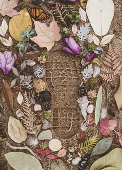 evie-s-aFGZmB0vmIg-unsplash
