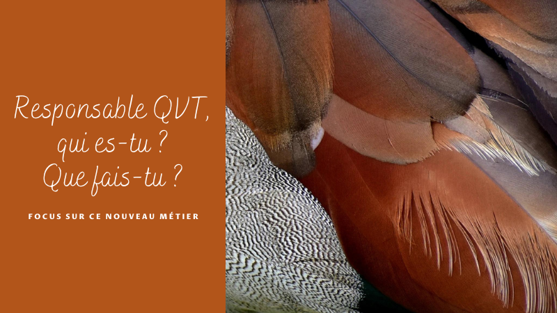 Responsable QVT : qui es-tu ? que fais-tu ?